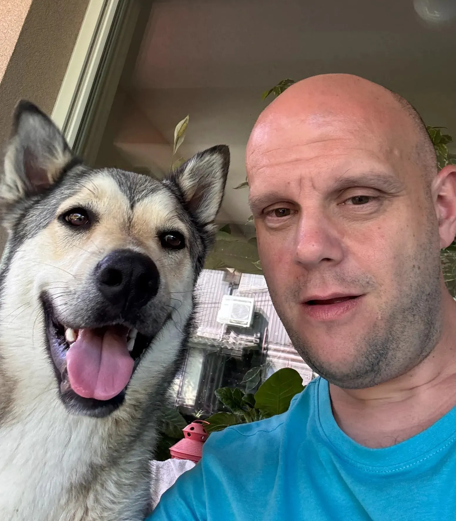 Igor Šumonja, founder of Timis Digital, with his dog